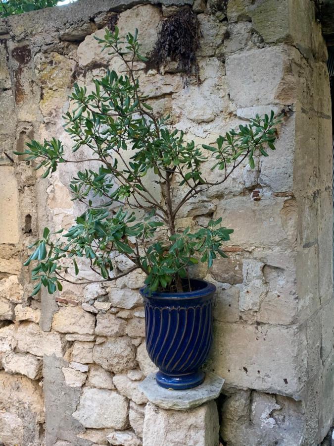 La Petite Maison